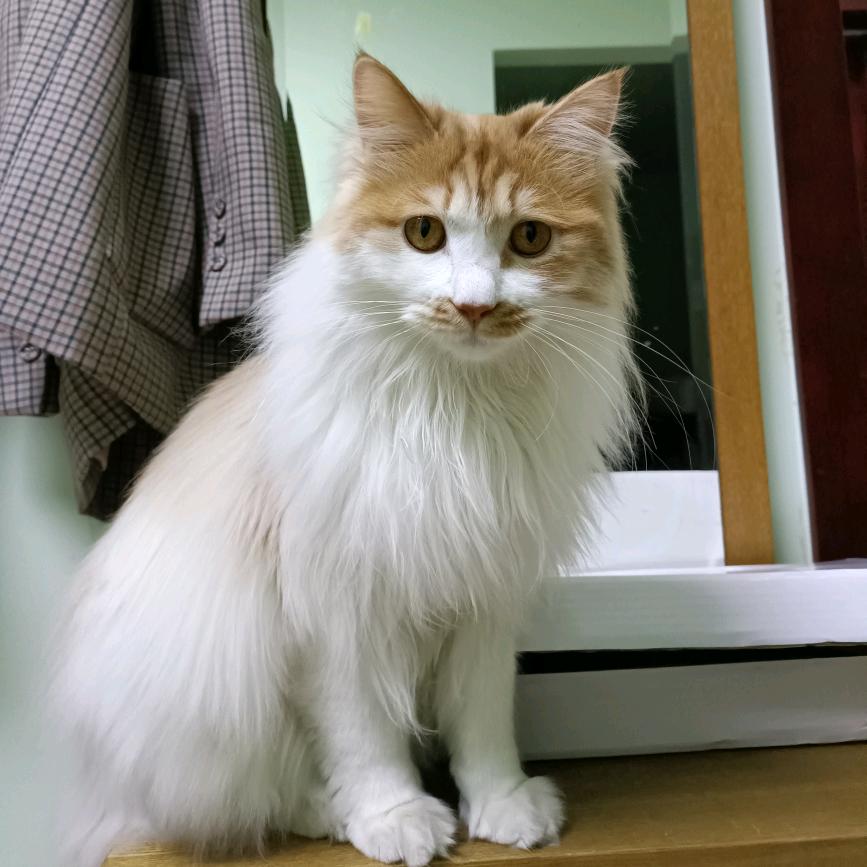 轻松