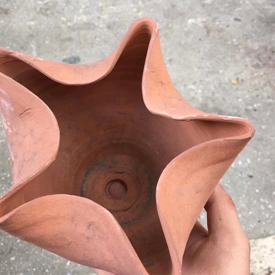 陈丽