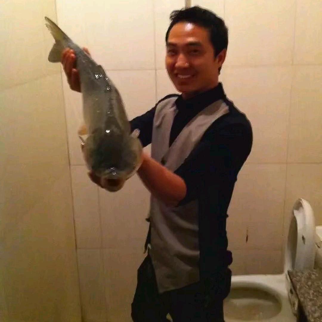 陌上花开
