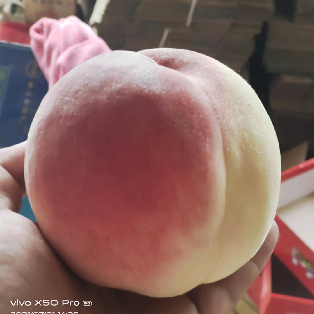 肥城桃乐甄选