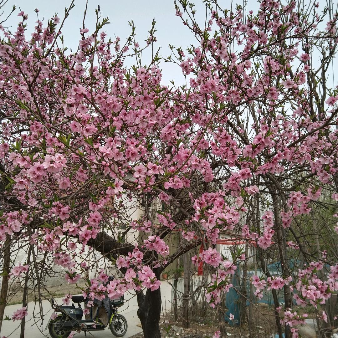 @👩“不务😂正爷”李呄~🐔