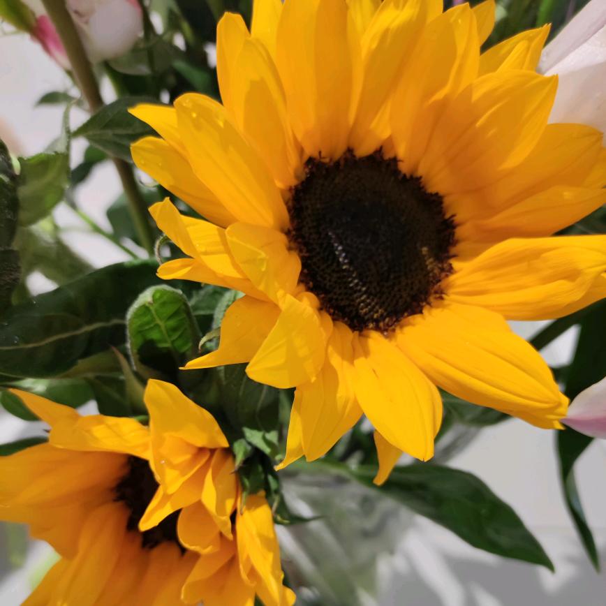 手机用户76620652557