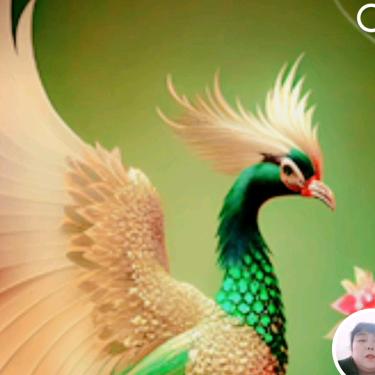 袁禄秀