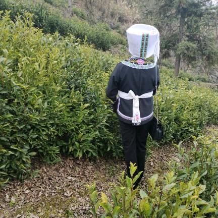 用户9335678728719陆儒英