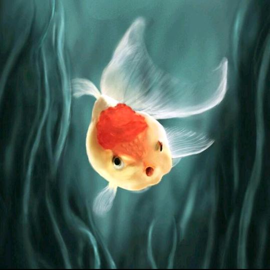 溪溪.