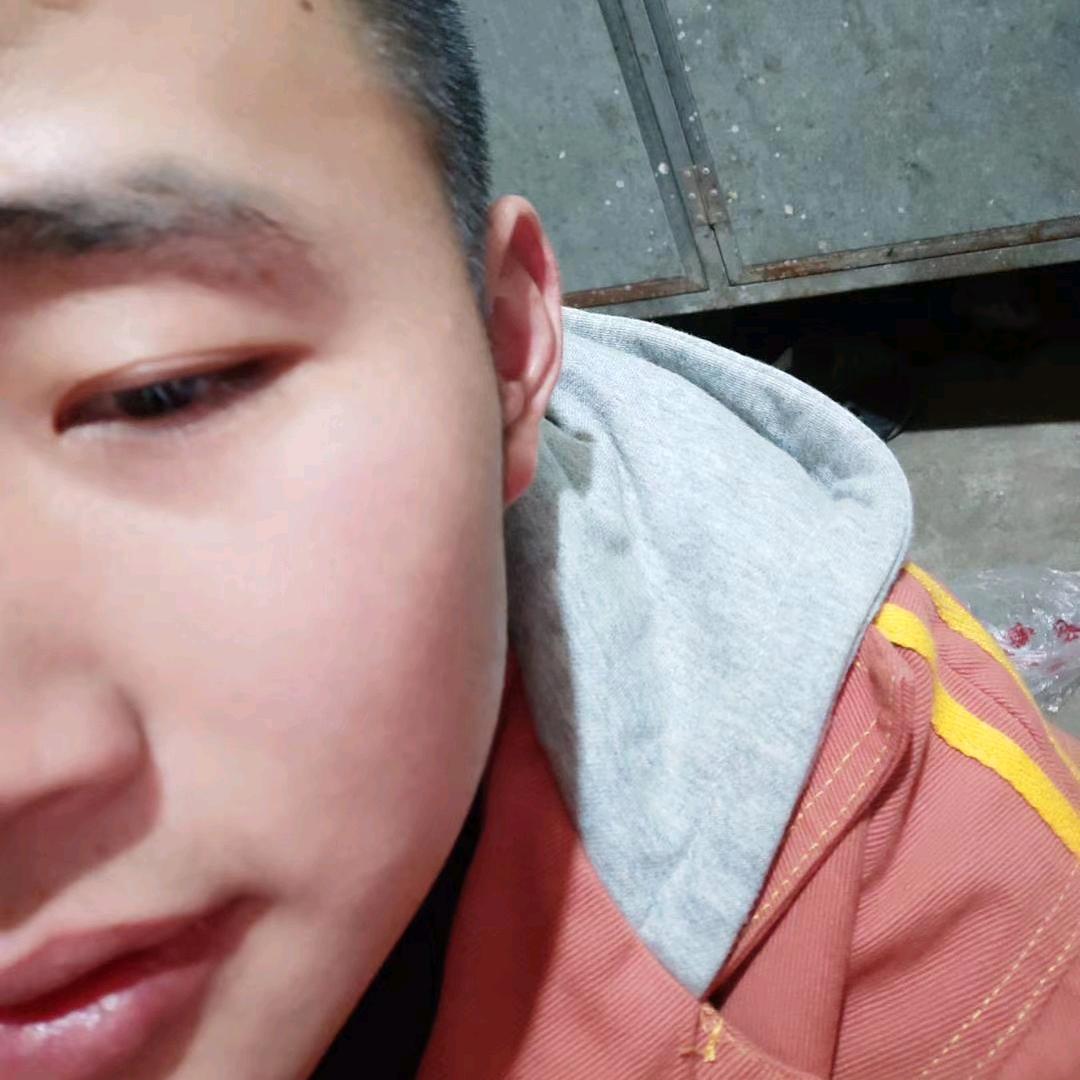 发奋图强的草根