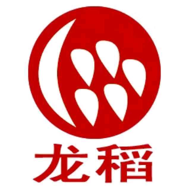 龙稻美容仪