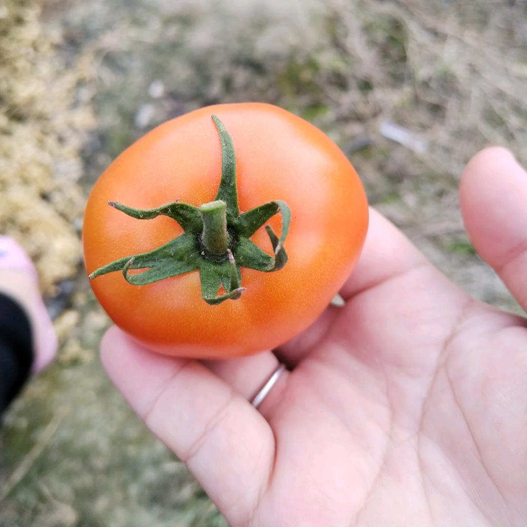 sunny丹丹丹丹丹丹