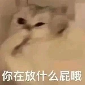 四海哥哥