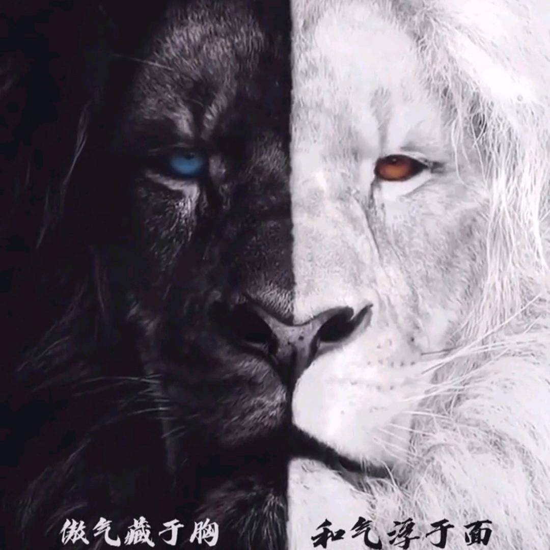 辉煌传说