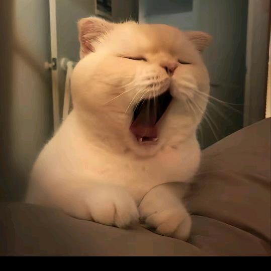 铁柱同学（长沙登船版）