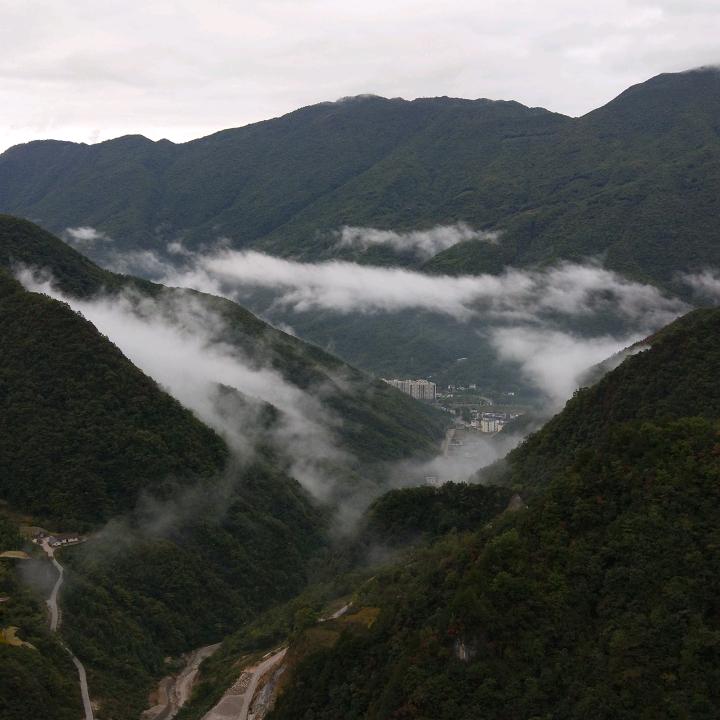 伊秋