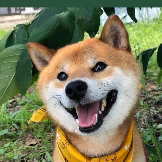 @ℳℒℴѵℯ·李ོ