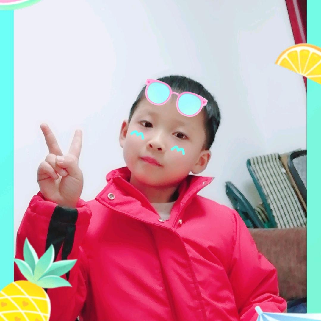 毛毛虫