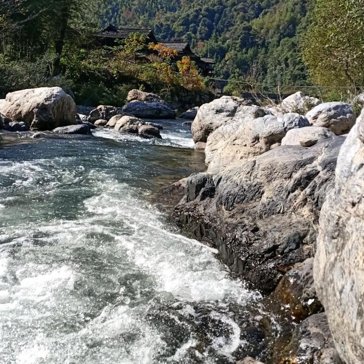 凤凰
