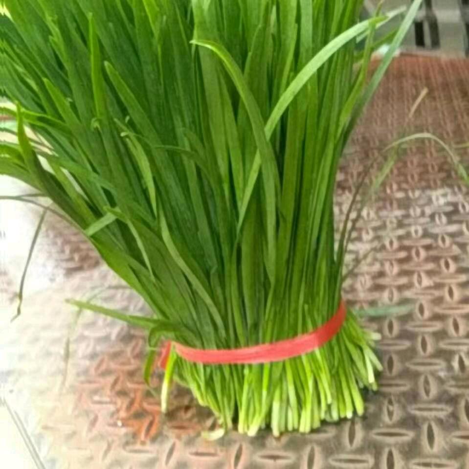 阿仲