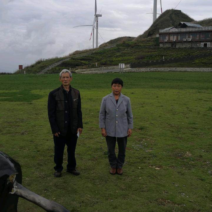 黄，