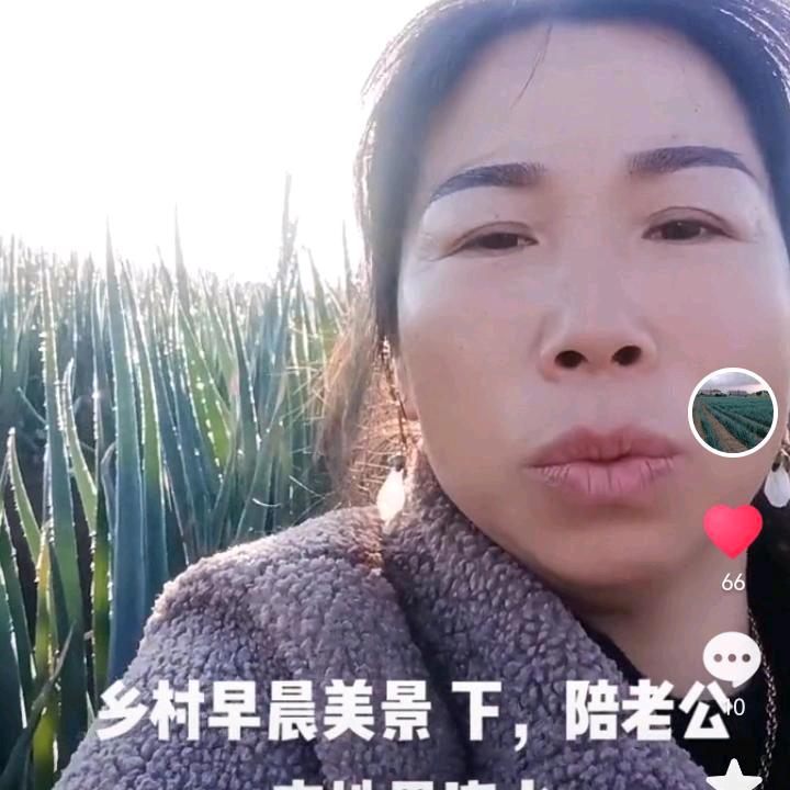 夕阳下