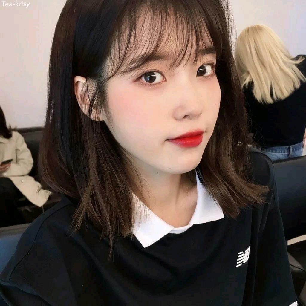 小松鼠