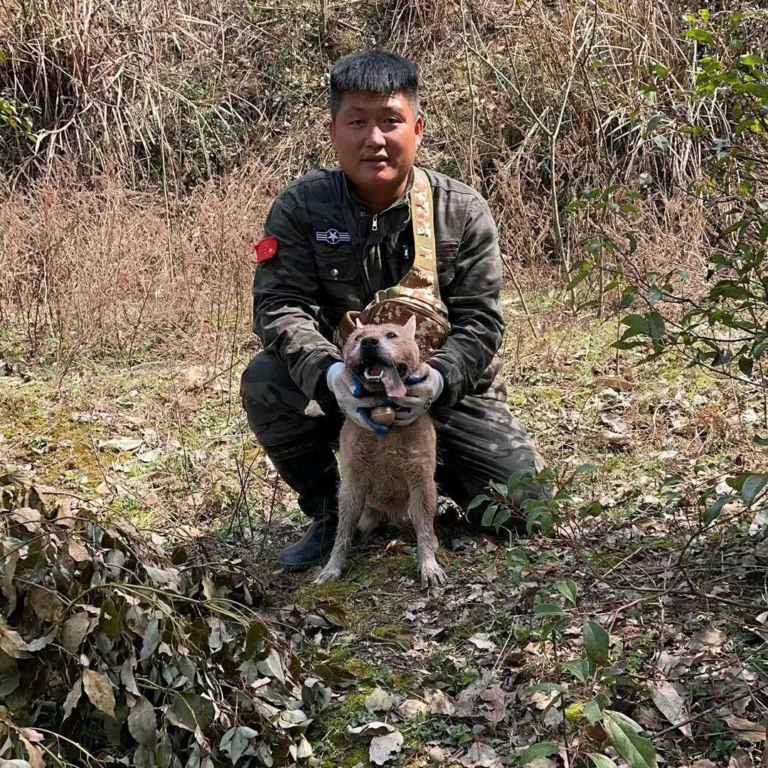 山波渔猎