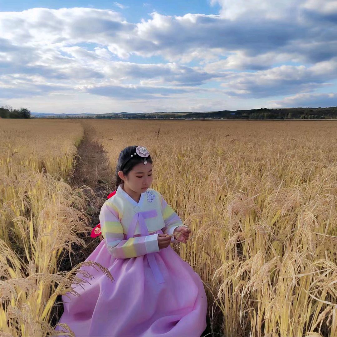 镜城 大米之乡 