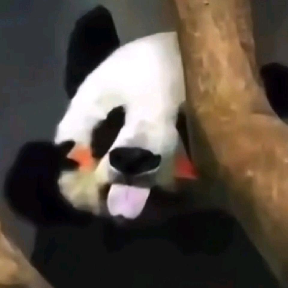 太阳阳