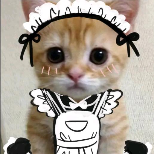 电子碎狗