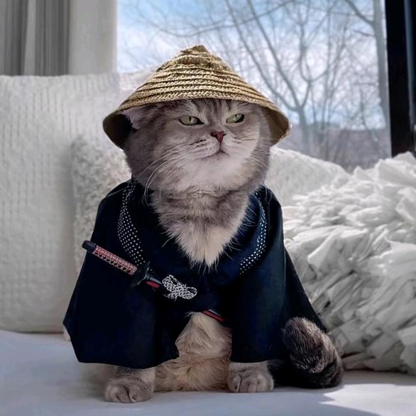 你怎么可以那么美
