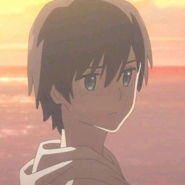 枫鸭