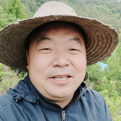 黑猪老田