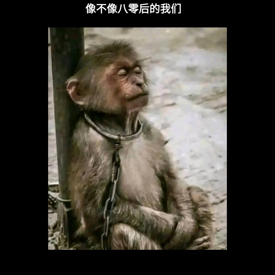抑郁的心
