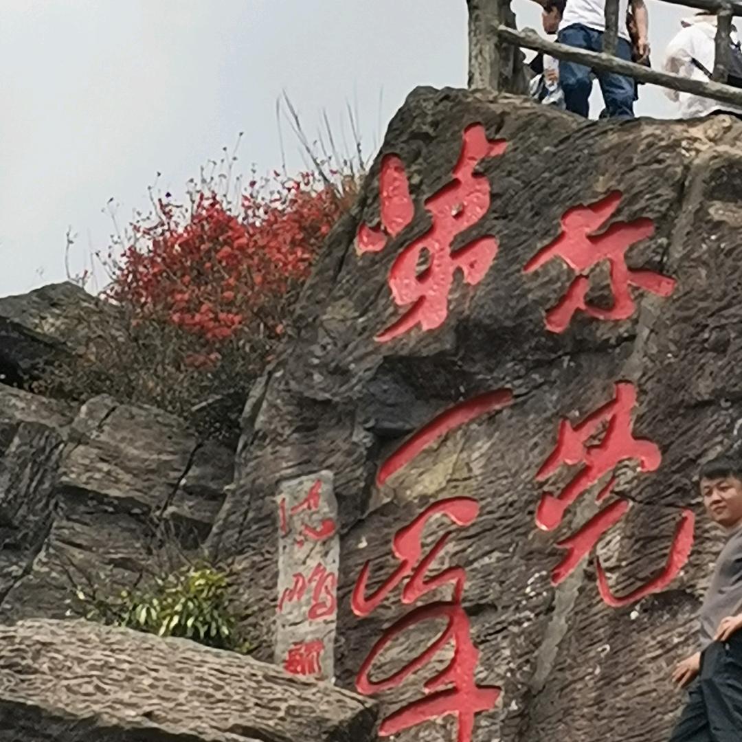 贤哥
