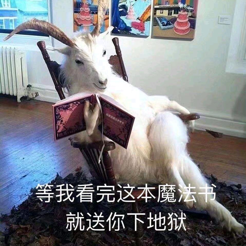 海豹突击队队长🦭