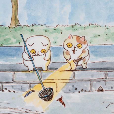 大白猫和大花猫