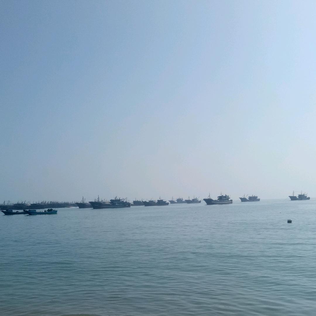 高山茶叶🍀