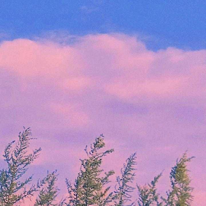 刘溜顺