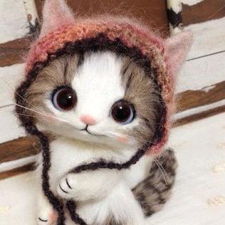 浮生不过梦一场