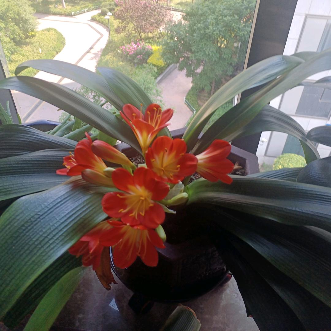 花好月圆
