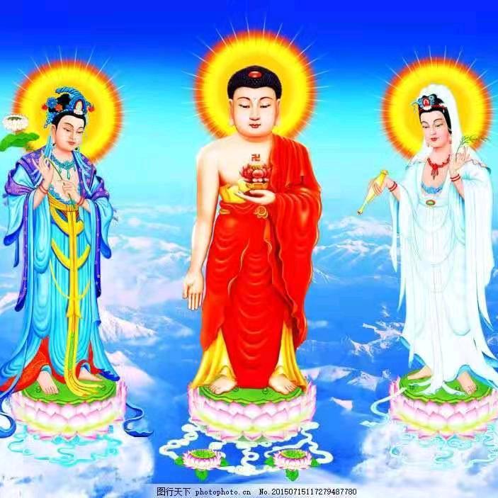 火龙果💰💰💰