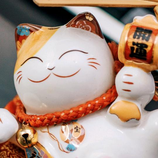 红太狼变美洋洋