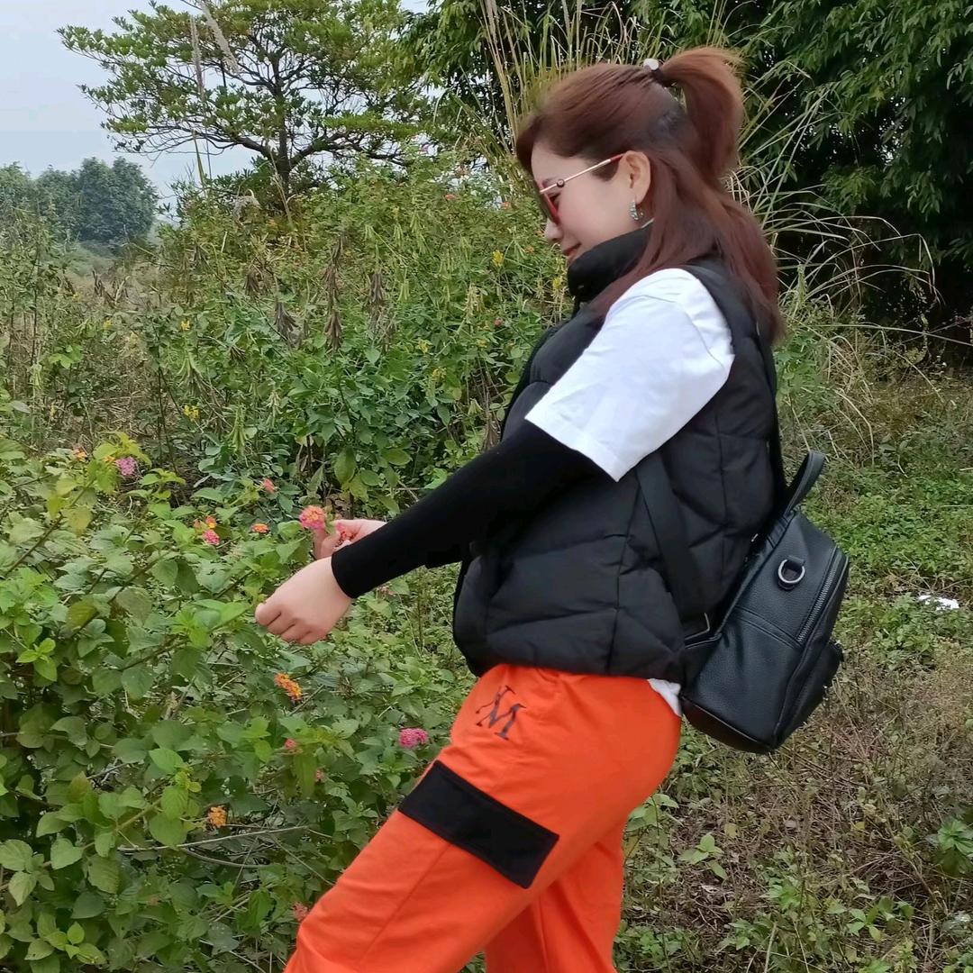 爱跳舞的兰