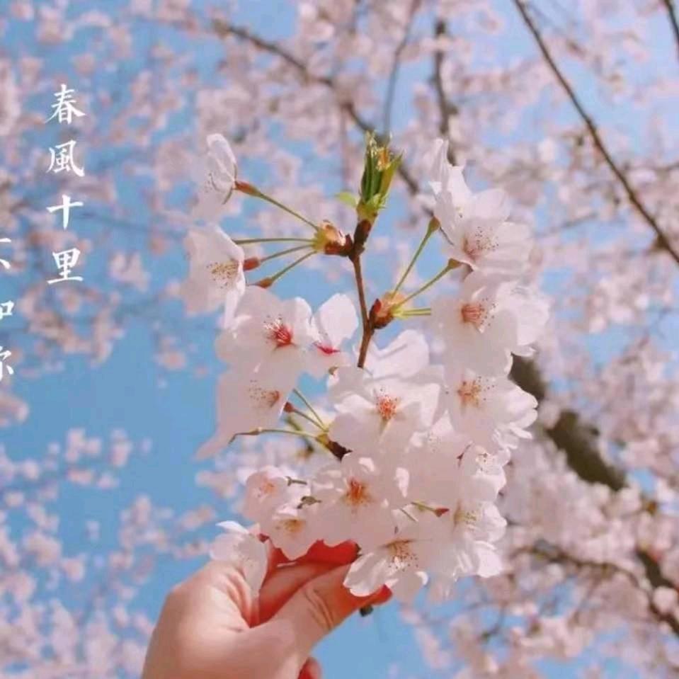 。平平