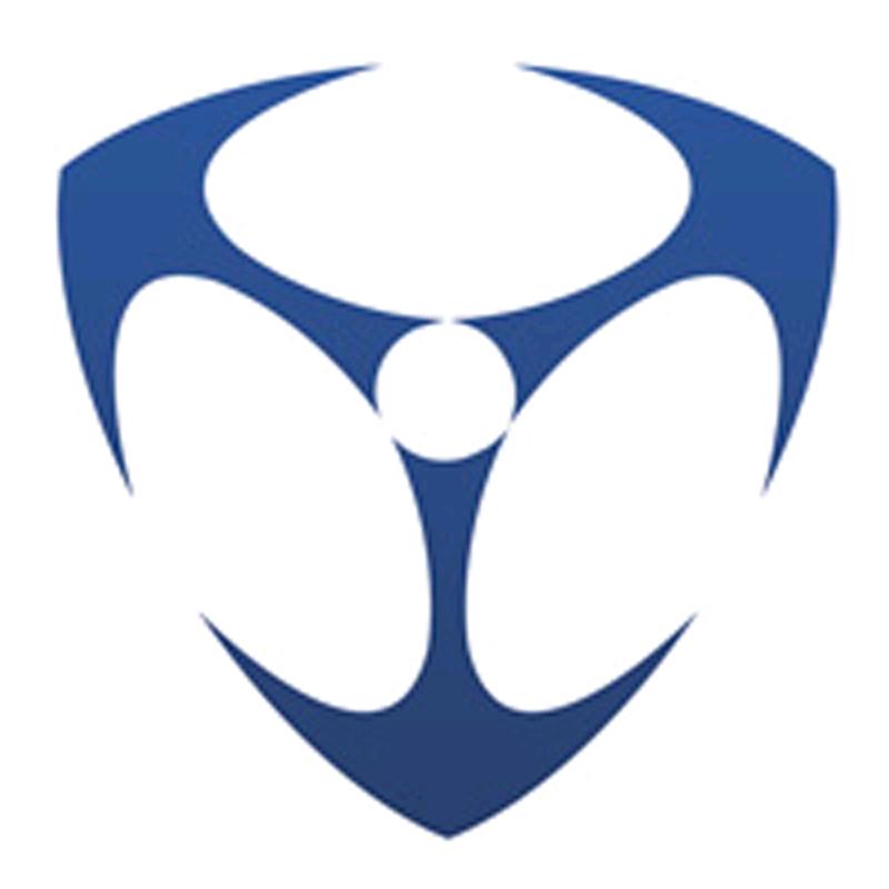 数字冰雹