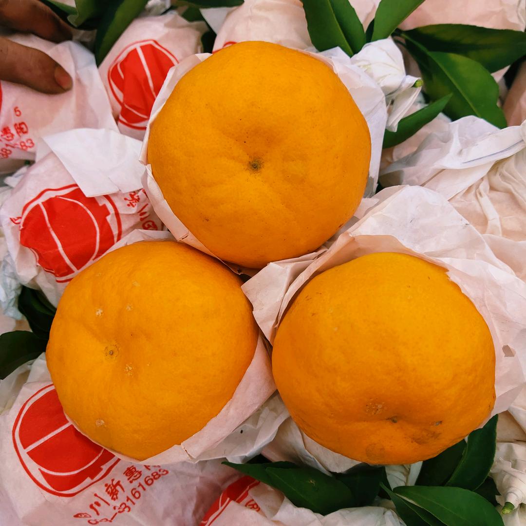 蒲江耙耙柑丑柑猕猴桃代办陈平