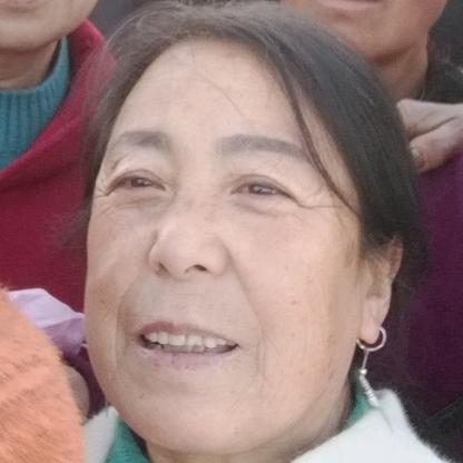 白鸽