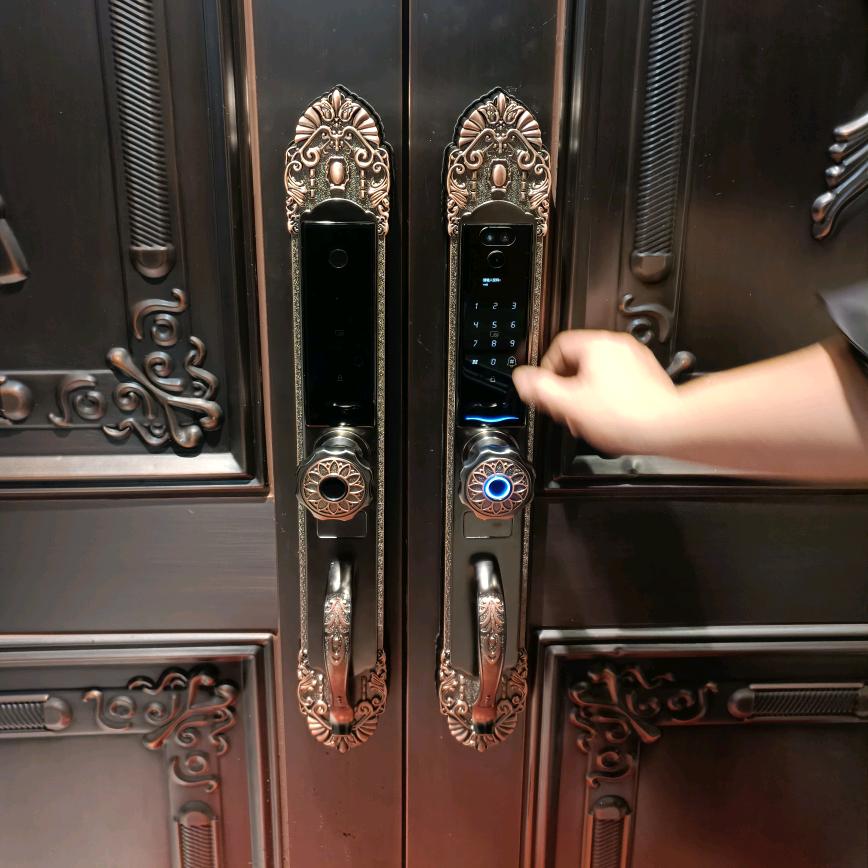 陈斯特洛夫斯基帆