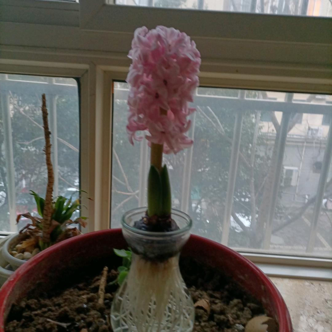好人平安