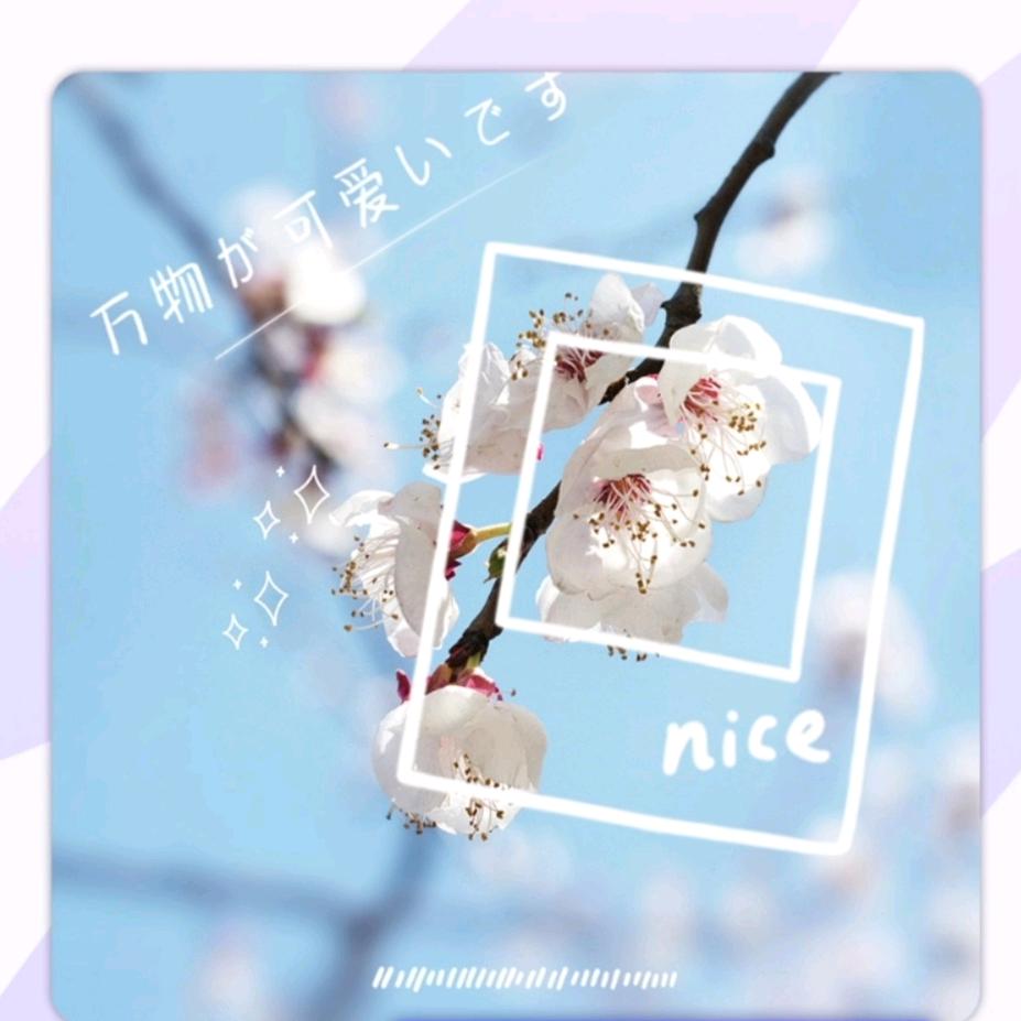 刘*艳