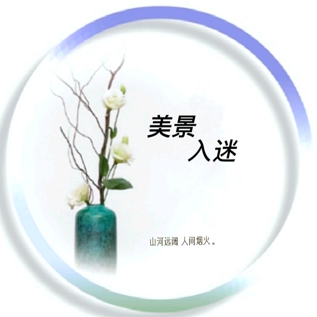 美景入迷📷