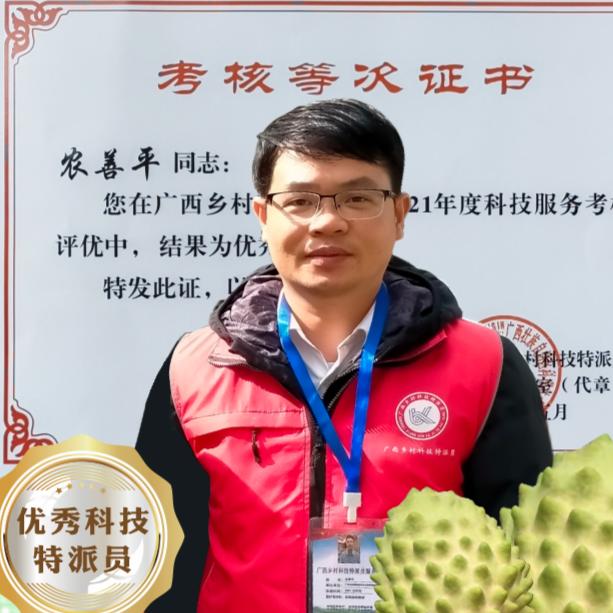 释迦先生(农善平)